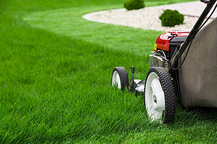 Image of a lawn mower cutting grass