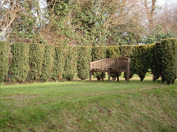 hedge-cutting-3